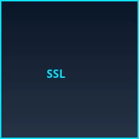 SSL银行级加密认证 - 老虎机下载